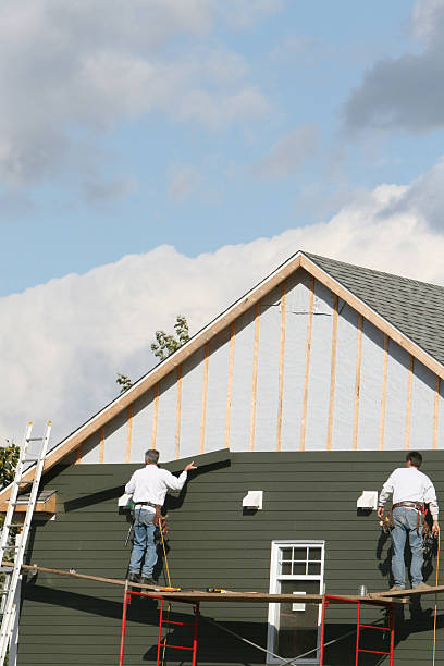 Best Vinyl Siding Installation  in Dilley, TX