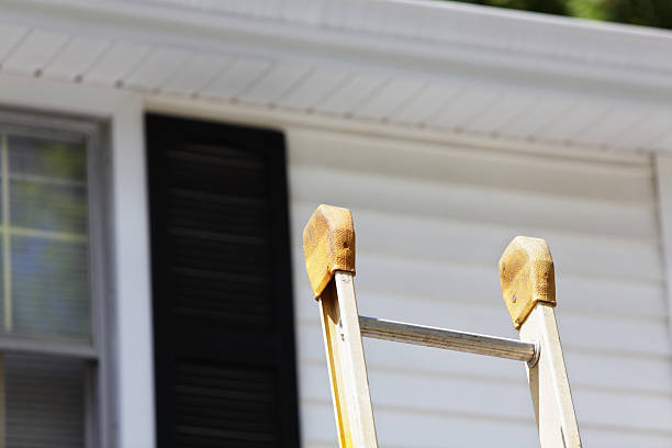 Best Steel Siding Installation  in Dilley, TX