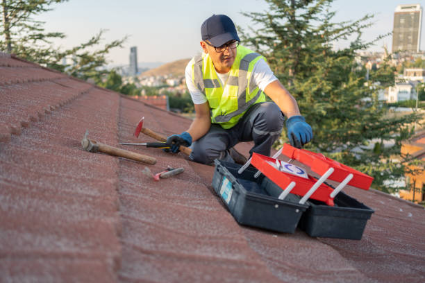 Best Fascia and Soffit Installation  in Dilley, TX